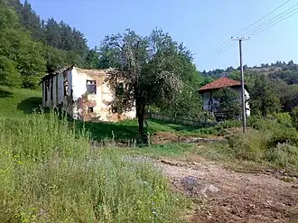 Bresnica (Bosilegrad)
