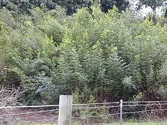 Description de cette image, également commentée ci-après