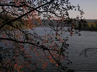 Image illustrative de l’article Lac de Butgenbach