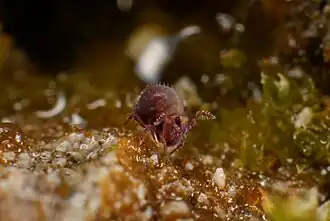 Description de cette image, également commentée ci-après