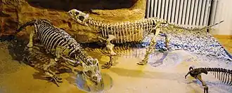 Description de cette image, également commentée ci-après