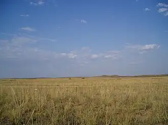 Image illustrative de l’article Bassin Balkhach-Alaköl