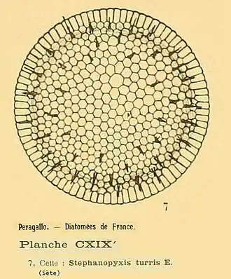 Description de cette image, également commentée ci-après