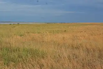 Raïon de Blagovechtchenka (kraï de l'Altaï)