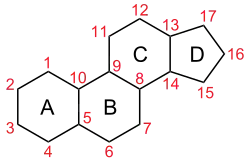 Nomenclature du stérane
