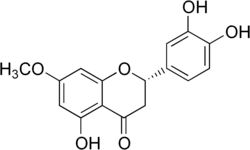 Image illustrative de l’article Stérubine