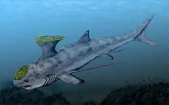 Description de cette image, également commentée ci-après