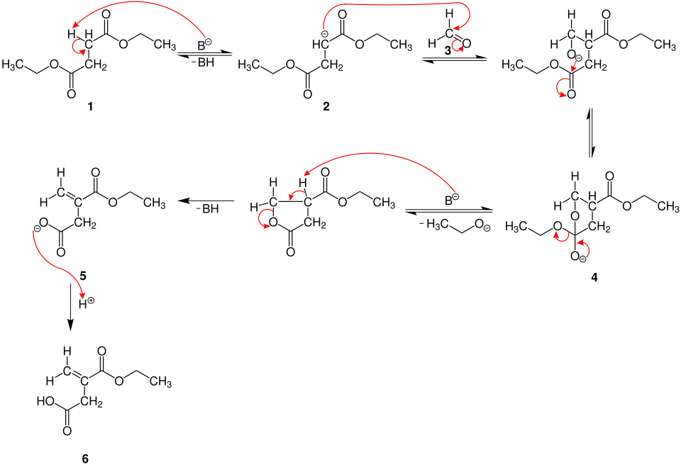 mécanisme réactionnel de la condensation de Stobbe