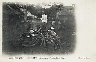 Stock d'ivoire (c. 3&nbsp;000&nbsp;kg).