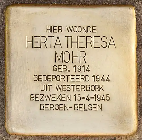 Détail: Stolperstein à Leyde pour Herta Theresa Mohr.