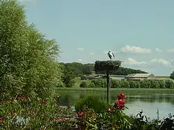 Tarquimpol, sur l'étang de Lindre