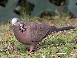 Description de cette image, également commentée ci-après