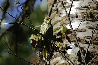 Description de cette image, également commentée ci-après