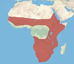Carte d'Afrique avec une vaste zone couvrant presque tout sauf le nord et vers l'équateur