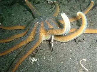 Description de cette image, également commentée ci-après