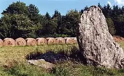 Image illustrative de l’article Menhir de Roquinarc'h