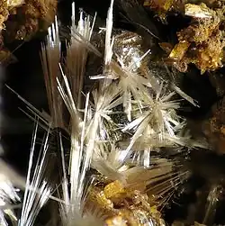 Image illustrative de l’article Strunzite