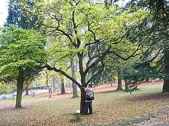 Description de cette image, également commentée ci-après