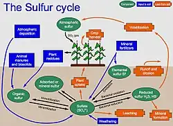 Diagramme du cycle du soufre.
