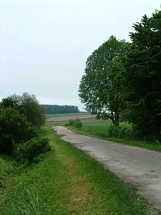 Sumin (Tomaszów Lubelski)