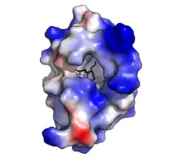 Description de l'image Surface_1UVB.png.