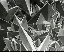 Cristaux de weddellite (oxalate de calcium dihydraté) sur la surface d'un calcul rénal. Image de microscopie électronique à balayage (MEB), surface dans la réalité = 0,35&nbsp;×&nbsp;0,45&nbsp;mm.