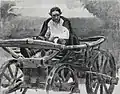 Strelets à la barbe noire dans un chariot, 1879.