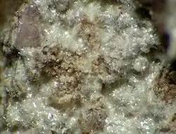 Image illustrative de l’article Sussexite