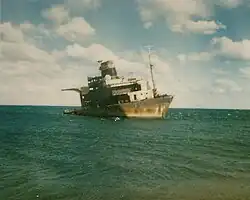 L'épave du Sygna en 1984.