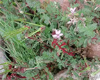 Description de cette image, également commentée ci-après