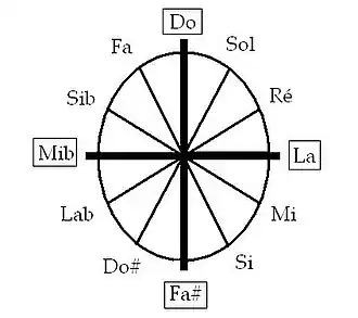 Système d'axes chez Bartok