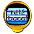 Logo de Télé Bocal.