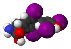 Image illustrative de l’article Thyroxine