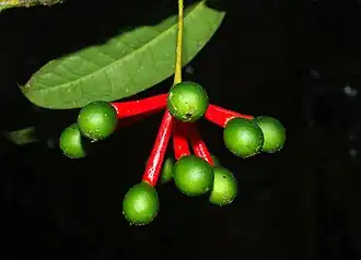 Description de cette image, également commentée ci-après