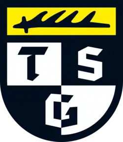 Logo du TSG Balingen