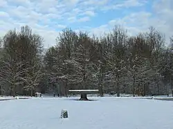 Image illustrative de l’article Forêt de Chantilly