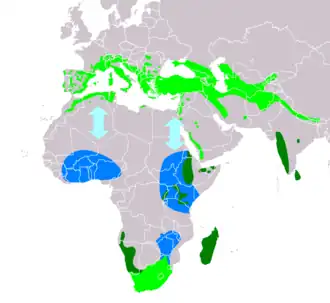 Description de l'image TachymarptisMelbaIUCNver2018 2.png.