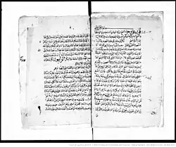 Manuscrit du Tafsir al-Qurtubi (BNF / Gallica)