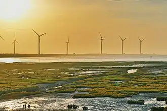 Autre vue de la zone humide de Gaomei.