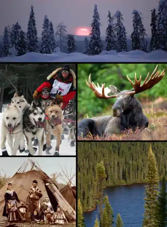 Description de cette image, également commentée ci-après