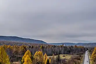 Taïga en automne dans la vallée de la Goloustnaïa (avec la route 25K-010).