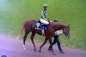 Image illustrative de l’article Taiki Shuttle