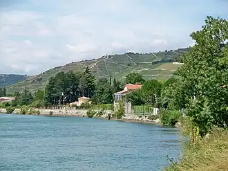 Image illustrative de l’article Côtes-du-rhône (AOC)