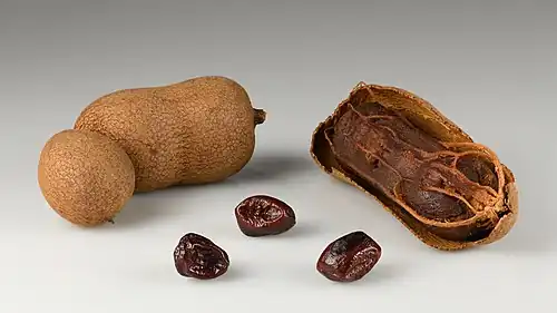 Fruits d'un tamarinier en Thaïlande en février 2022.
