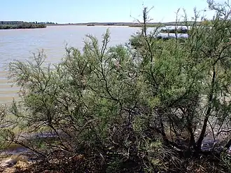 Description de cette image, également commentée ci-après