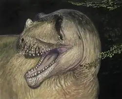 Dessin reconstituant la tête d'un dinosaure théropode présentant notamment une crête placée au-dessus du nez.