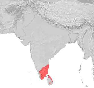 Image illustrative de l’article Tamoul