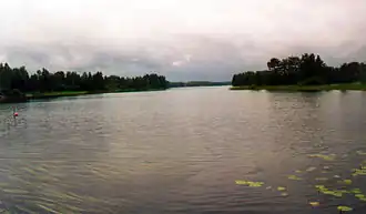 Tammijärvi