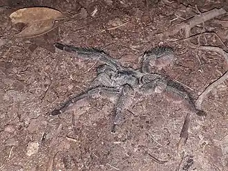 Description de cette image, également commentée ci-après