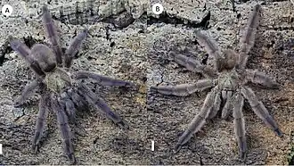 Description de cette image, également commentée ci-après